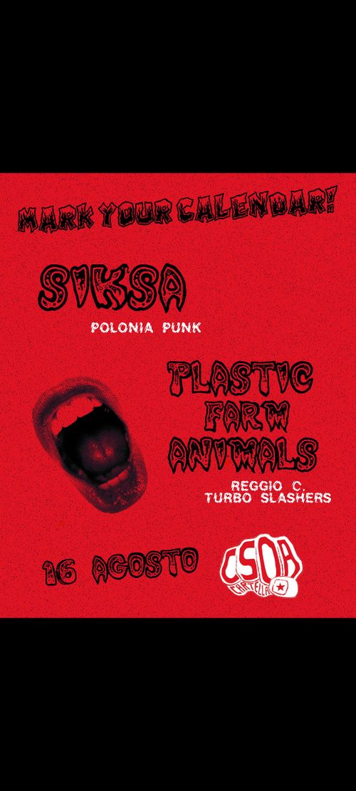 Siksa (Polonia Punk) + Plastic Farm Animals (RC turbo slashers)